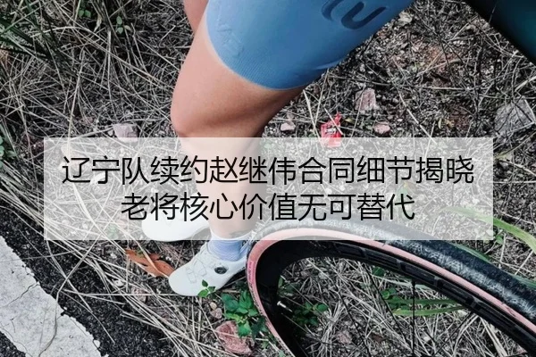 辽宁队续约赵继伟合同细节揭晓 老将核心价值无可替代